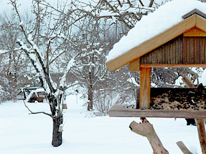 Vogelhäuschen im Schnee